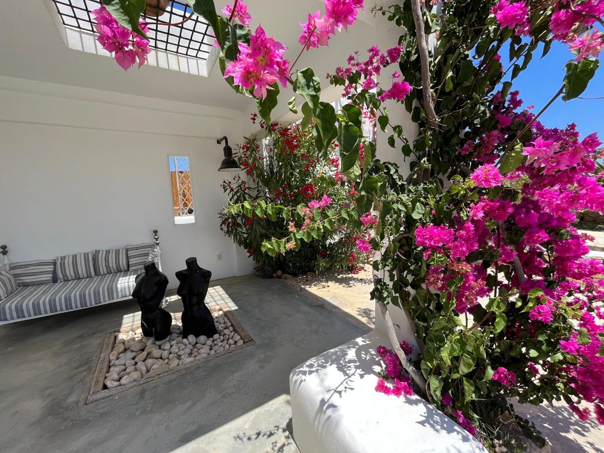 Villa Theia - Selene , Appartement De Charme Pour 4 A 6 Personnes Pres De La Plage Et Du Village De Koufonissi Koufonisia Exterior foto